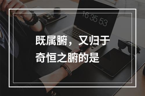 既属腑，又归于奇恒之腑的是