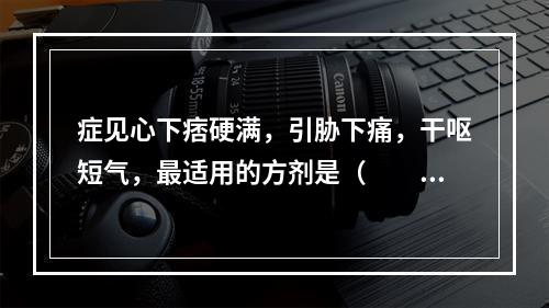 症见心下痞硬满，引胁下痛，干呕短气，最适用的方剂是（　　）