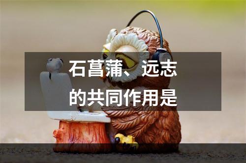 石菖蒲、远志的共同作用是