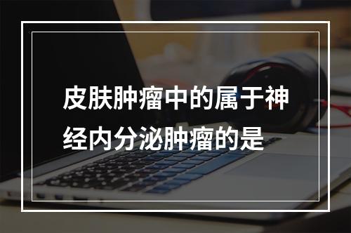 皮肤肿瘤中的属于神经内分泌肿瘤的是