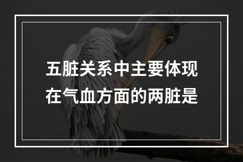 五脏关系中主要体现在气血方面的两脏是