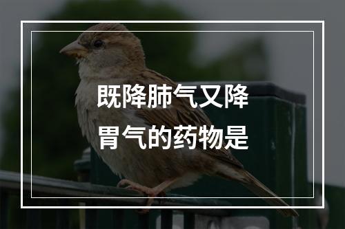 既降肺气又降胃气的药物是