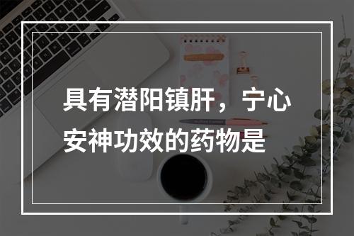 具有潜阳镇肝，宁心安神功效的药物是