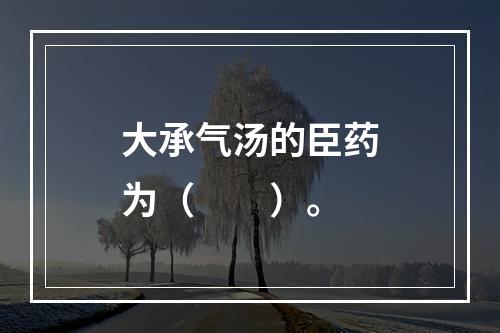 大承气汤的臣药为（　　）。