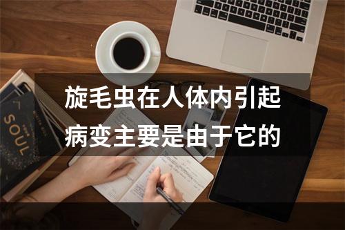 旋毛虫在人体内引起病变主要是由于它的