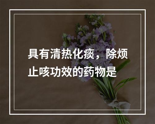 具有清热化痰，除烦止咳功效的药物是