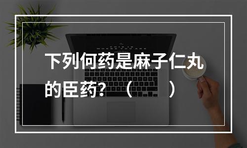 下列何药是麻子仁丸的臣药？（　　）