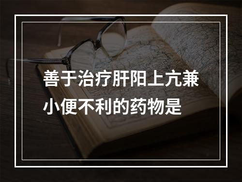 善于治疗肝阳上亢兼小便不利的药物是