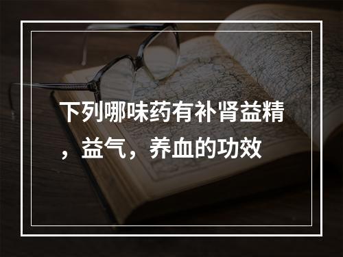 下列哪味药有补肾益精，益气，养血的功效