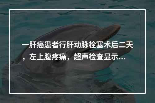 一肝癌患者行肝动脉栓塞术后二天，左上腹疼痛，超声检查显示脾