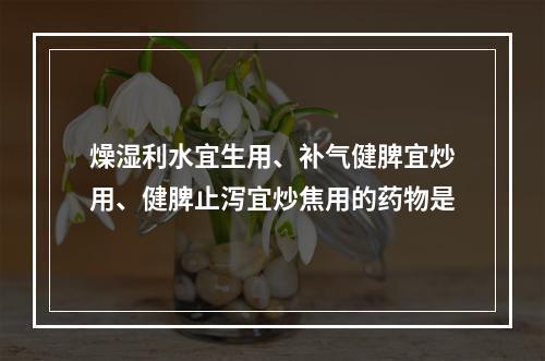 燥湿利水宜生用、补气健脾宜炒用、健脾止泻宜炒焦用的药物是