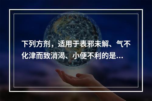 下列方剂，适用于表邪未解、气不化津而致消渴、小便不利的是（