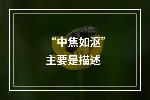 “中焦如沤”主要是描述