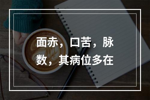 面赤，口苦，脉数，其病位多在