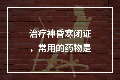 治疗神昏寒闭证，常用的药物是