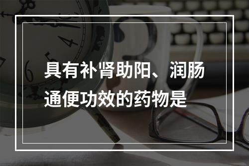 具有补肾助阳、润肠通便功效的药物是