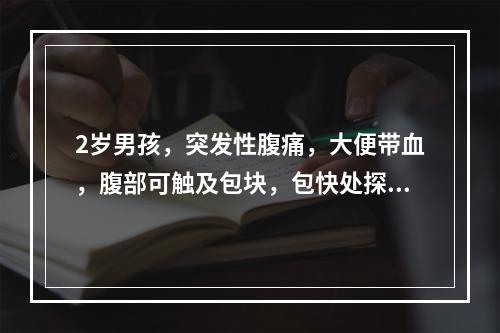 2岁男孩，突发性腹痛，大便带血，腹部可触及包块，包快处探及