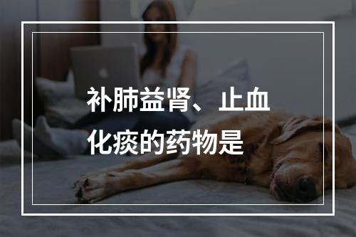 补肺益肾、止血化痰的药物是