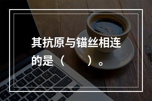 其抗原与锚丝相连的是（　　）。