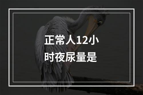 正常人12小时夜尿量是