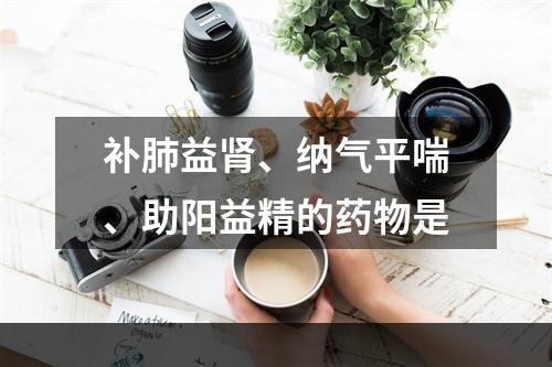 补肺益肾、纳气平喘、助阳益精的药物是