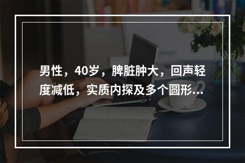 男性，40岁，脾脏肿大，回声轻度减低，实质内探及多个圆形低