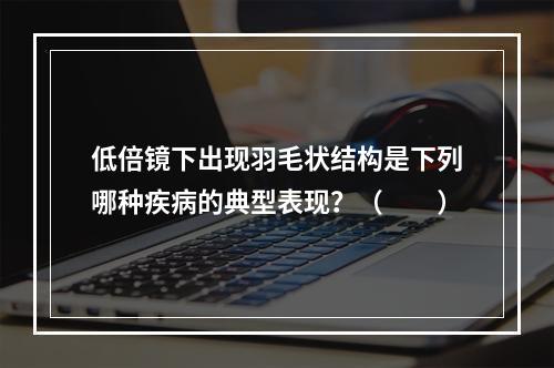 低倍镜下出现羽毛状结构是下列哪种疾病的典型表现？（　　）