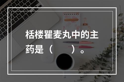 栝楼瞿麦丸中的主药是（　　）。