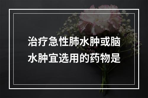 治疗急性肺水肿或脑水肿宜选用的药物是