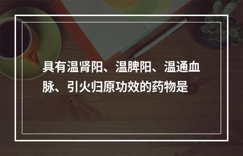 具有温肾阳、温脾阳、温通血脉、引火归原功效的药物是