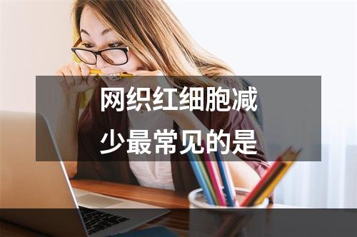 网织红细胞减少最常见的是