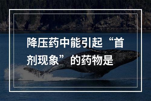 降压药中能引起“首剂现象”的药物是