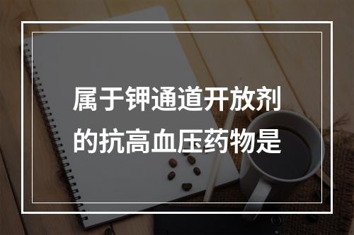 属于钾通道开放剂的抗高血压药物是