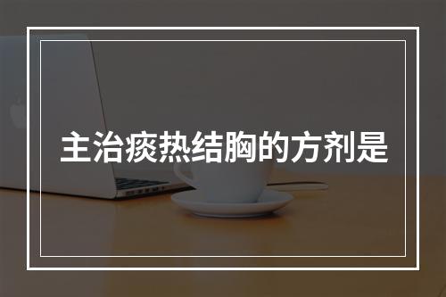 主治痰热结胸的方剂是