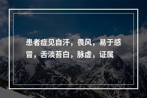 患者症见自汗，畏风，易于感冒，舌淡苔白，脉虚，证属