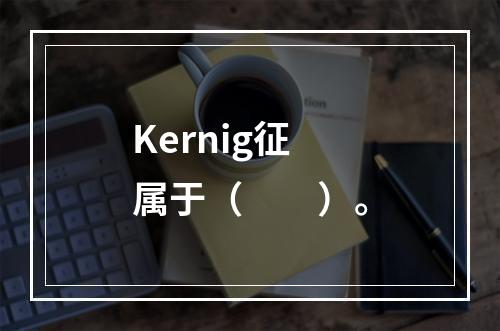 Kernig征属于（　　）。