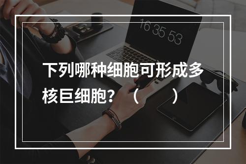 下列哪种细胞可形成多核巨细胞？（　　）