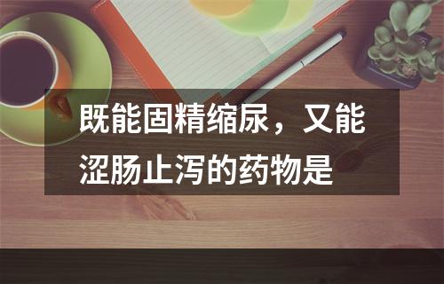 既能固精缩尿，又能涩肠止泻的药物是