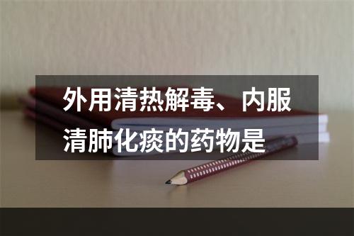 外用清热解毒、内服清肺化痰的药物是