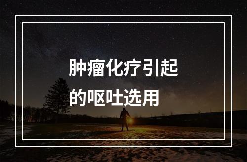 肿瘤化疗引起的呕吐选用