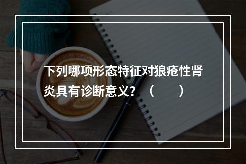 下列哪项形态特征对狼疮性肾炎具有诊断意义？（　　）