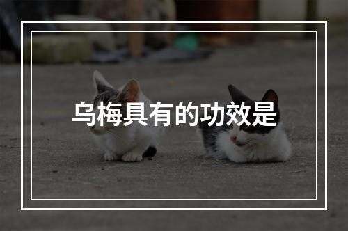 乌梅具有的功效是