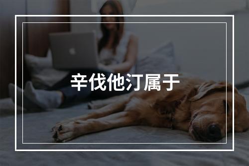 辛伐他汀属于