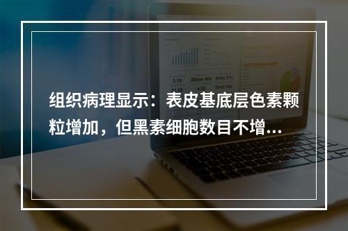 组织病理显示：表皮基底层色素颗粒增加，但黑素细胞数目不增多的