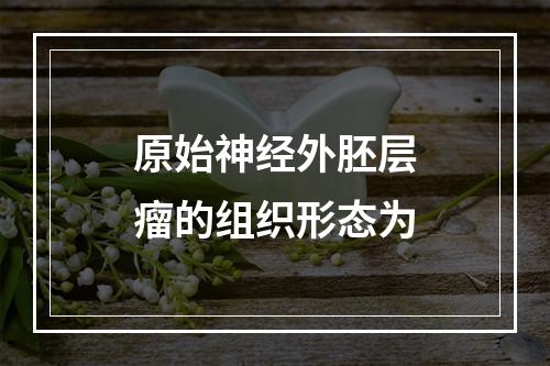 原始神经外胚层瘤的组织形态为