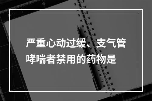 严重心动过缓、支气管哮喘者禁用的药物是