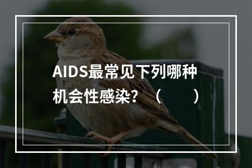 AIDS最常见下列哪种机会性感染？（　　）