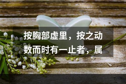 按胸部虚里，按之动数而时有一止者，属