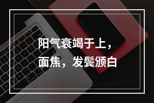 阳气衰竭于上，面焦，发鬓颁白