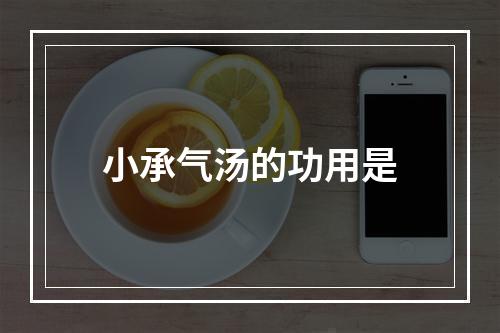 小承气汤的功用是